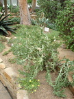 2008